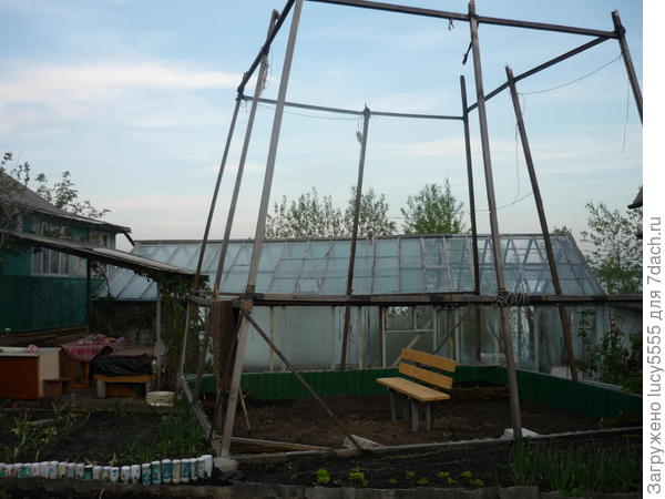 первая