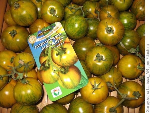 Томат Сибирский Малахит