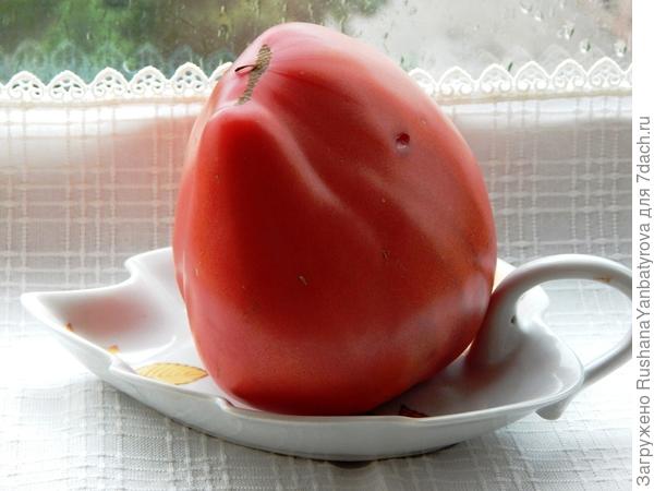 Яркое сердце Тяжеловеса Сибири.