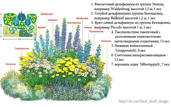 Схема миксбордера непрерывного цветения