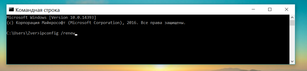 Команда ipconfig /renew