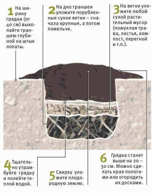 Схема огуречной грядки
