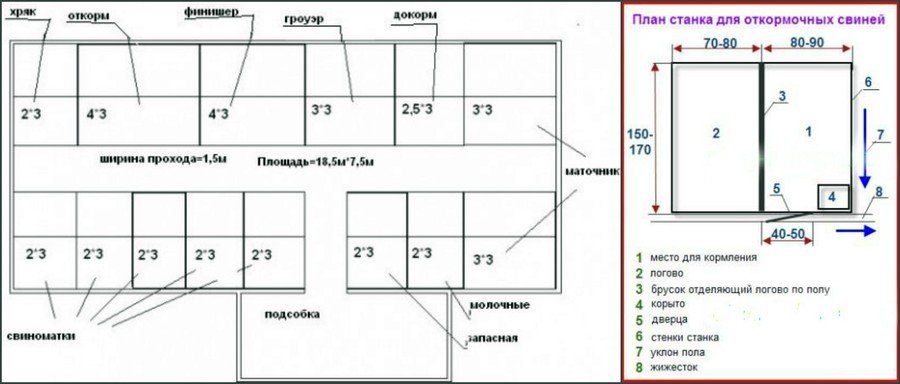 Чертеж свинарника