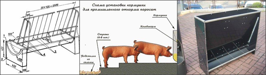 Кормушки для свиней своими руками