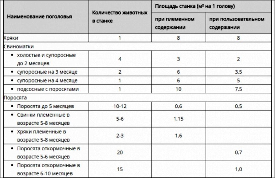 Как определить размеры свинарника