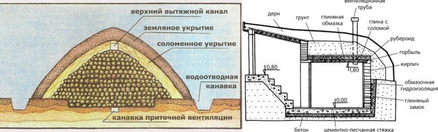 Хранение картошки в погребе