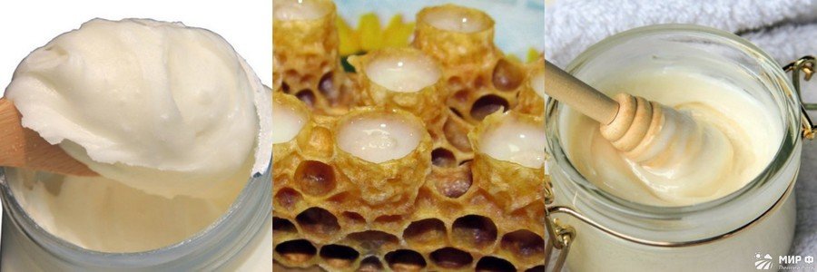 ΠΠ΅Π΄ Ρ ΠΌΠ°ΡΠΎΡΠ½ΡΠΌ ΠΌΠΎΠ»ΠΎΡΠΊΠΎΠΌ ΡΠΎΡΠΎ