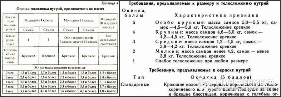 Подбор пар нутрий