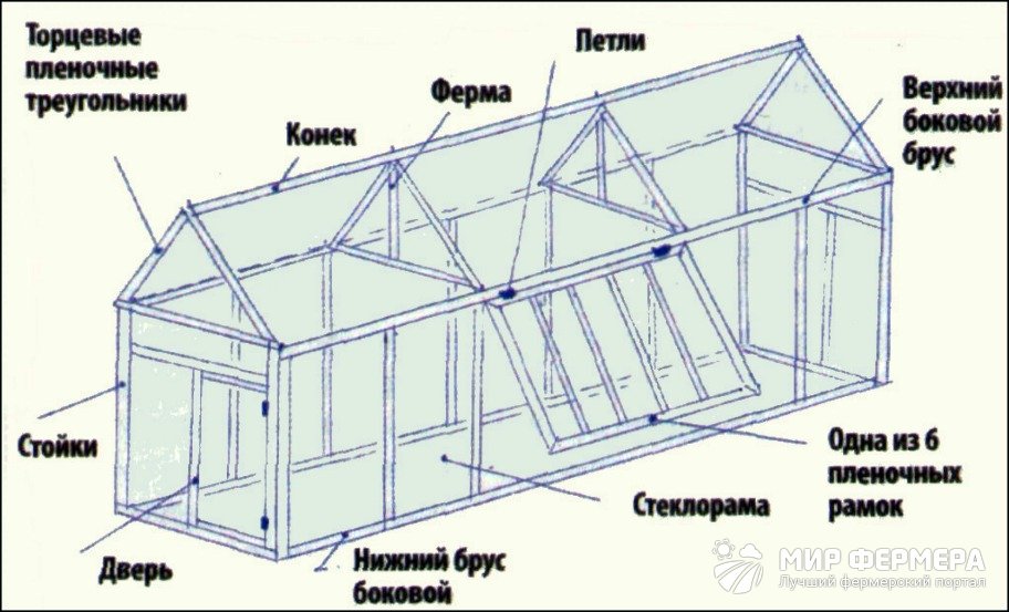 Теплица из стекла чертеж