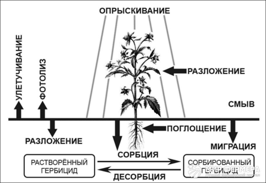 Гербициды от сорняков