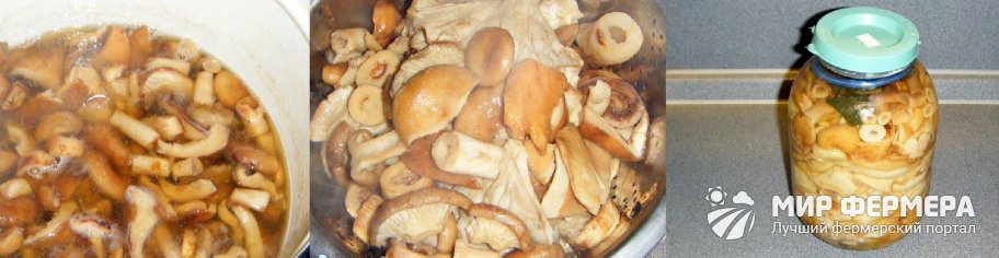 Как солить грибы горячим способом