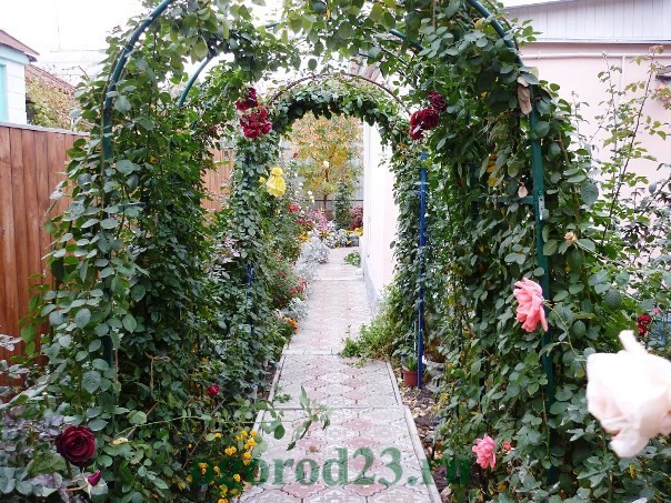 арки для цветов на даче