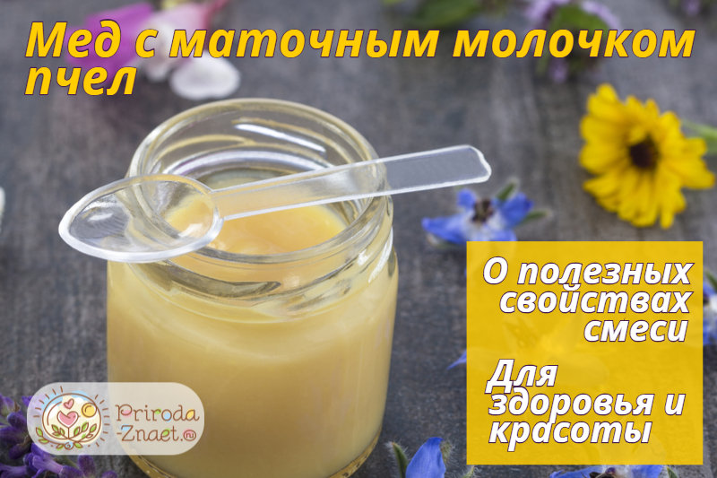 Мед с маточным молочком Мед с маточным молочком
