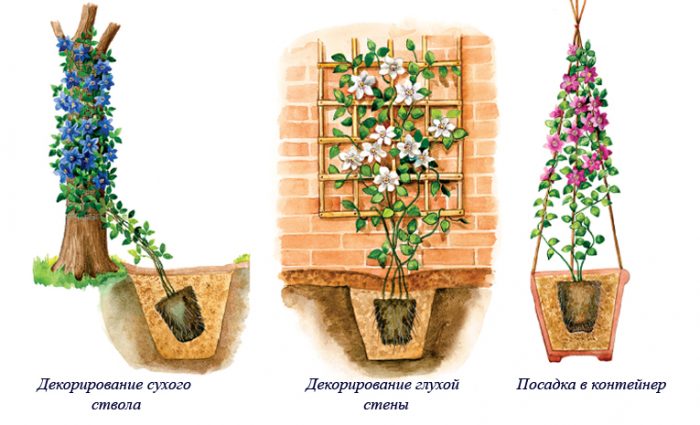 Весенняя посадка