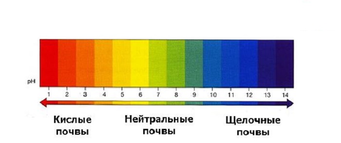 рН < 6 почва кислая, рН – 6,5 – 7,5 - нейтральная pH > 7,5 – щелочная.