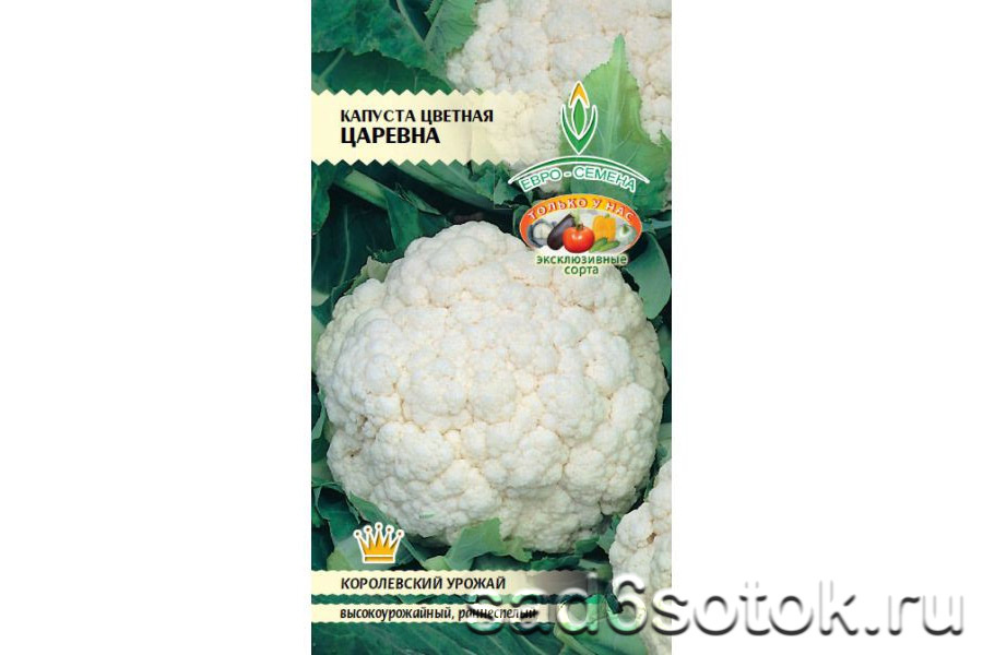 Цветная капуста сорт Царевна Цветная капуста сорт Царевна