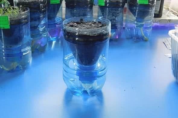 пролейте водой