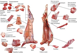 Особенности разделки туши
