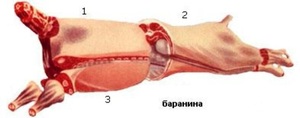 Правильная и быстрая разделка бараньей туши