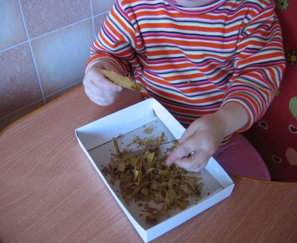 Картины из листьев и цветов своими руками для детского сада и школы