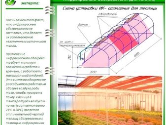 Обогреватели для теплицы: какой лучше выбрать?