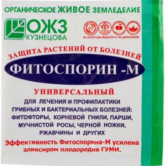 Выращивание эустомы в домашних условиях
