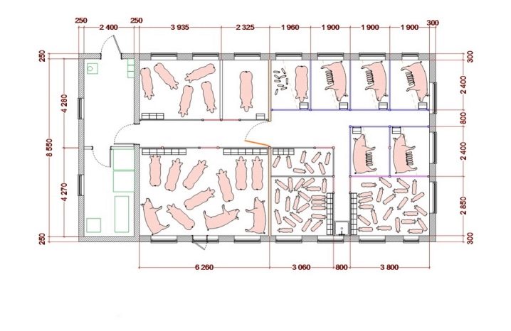 Проекты свинарника: какие бывают, как построить и обустроить внутри?