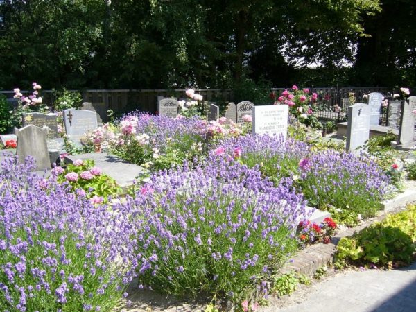 tombstone-flowers-03