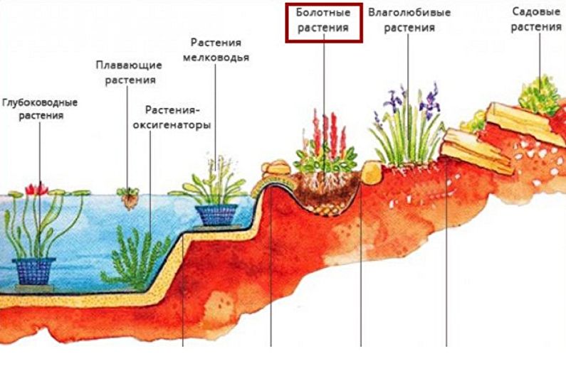 Альпийская горка с водопадом и прудом своими руками - Что необходимо подготовить