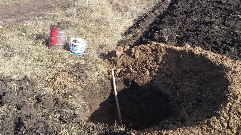 Подготовка посадочной ямы для грецкого ореха