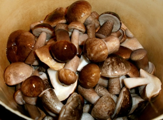 Как солить грибы на зиму
