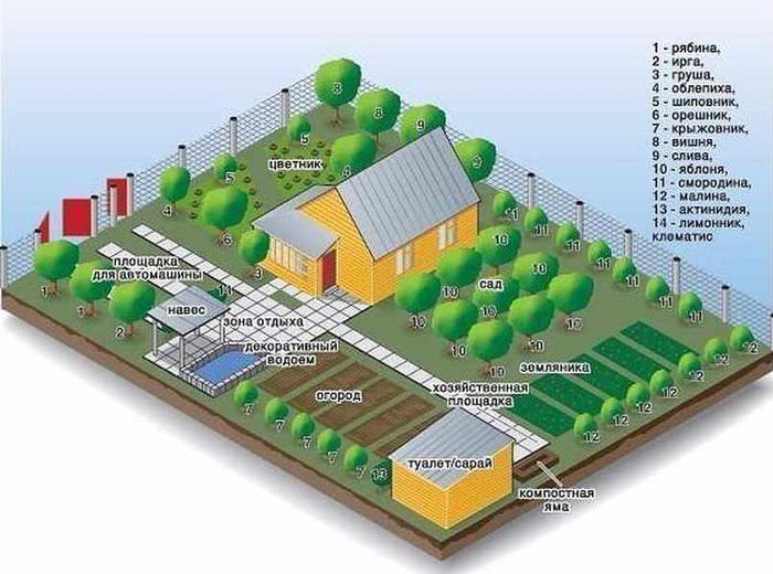 План-схема озеленения приусадебного участка