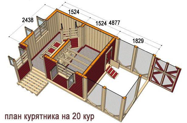 курятник на 20 кур своими руками
