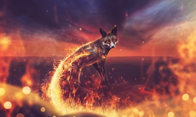 лиса огонь firefox огненная лиса
