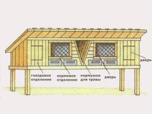 Как самим построить крольчатник