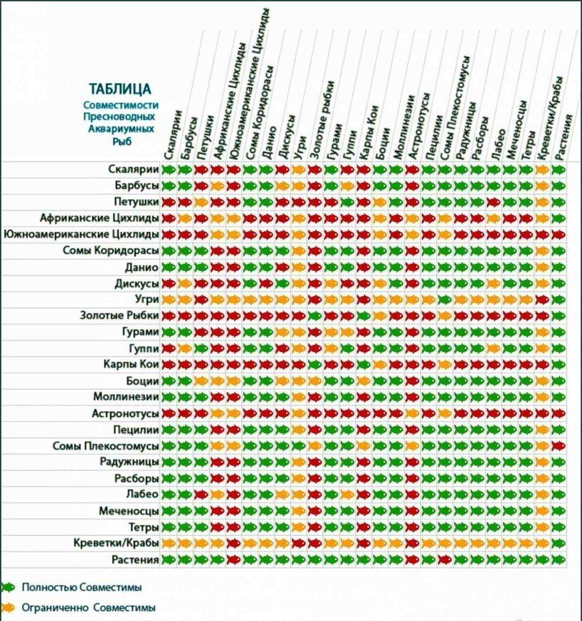 Таблица совместимости рыб